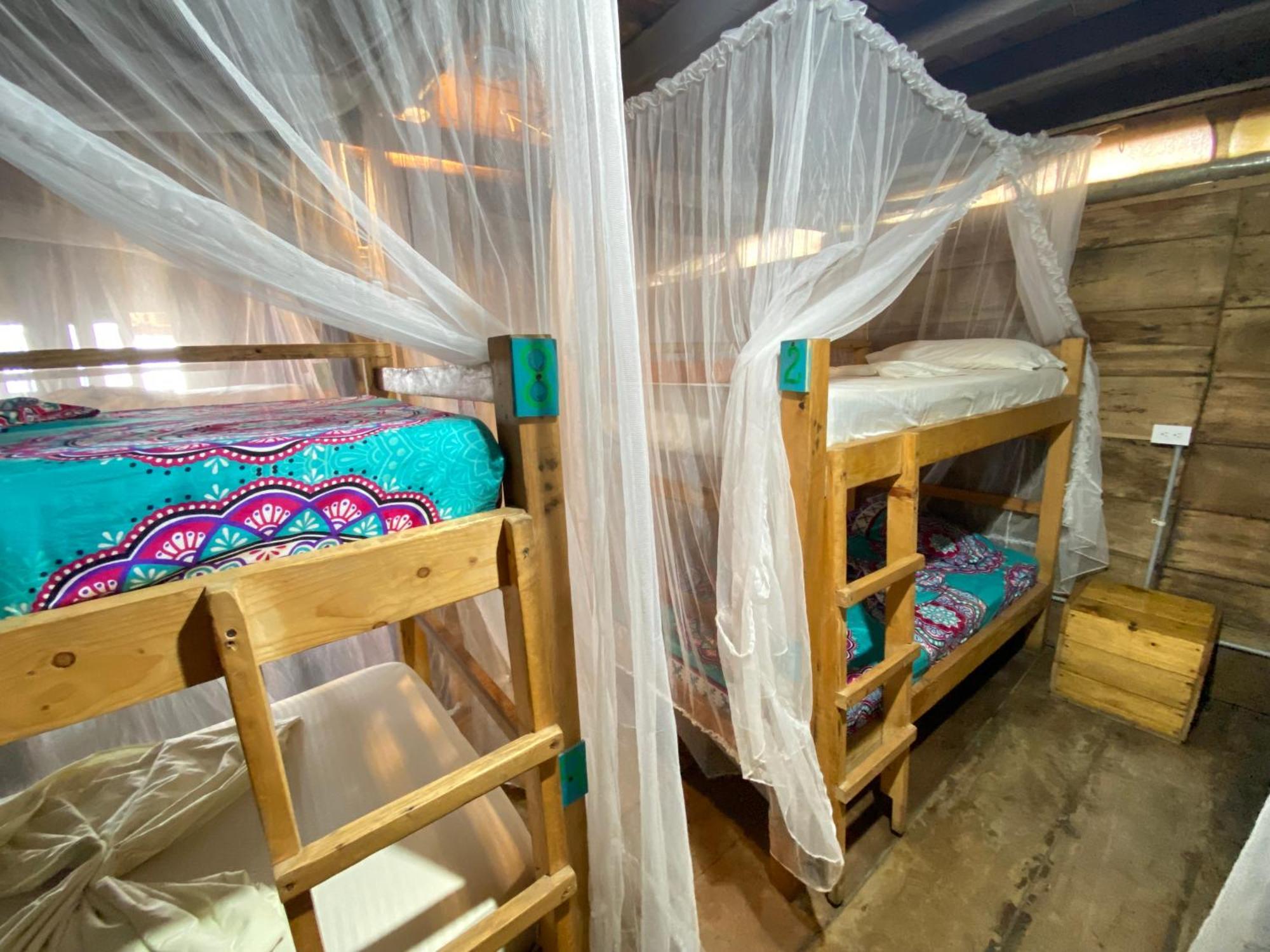 Palmario Hostal Guachaca Exterior photo