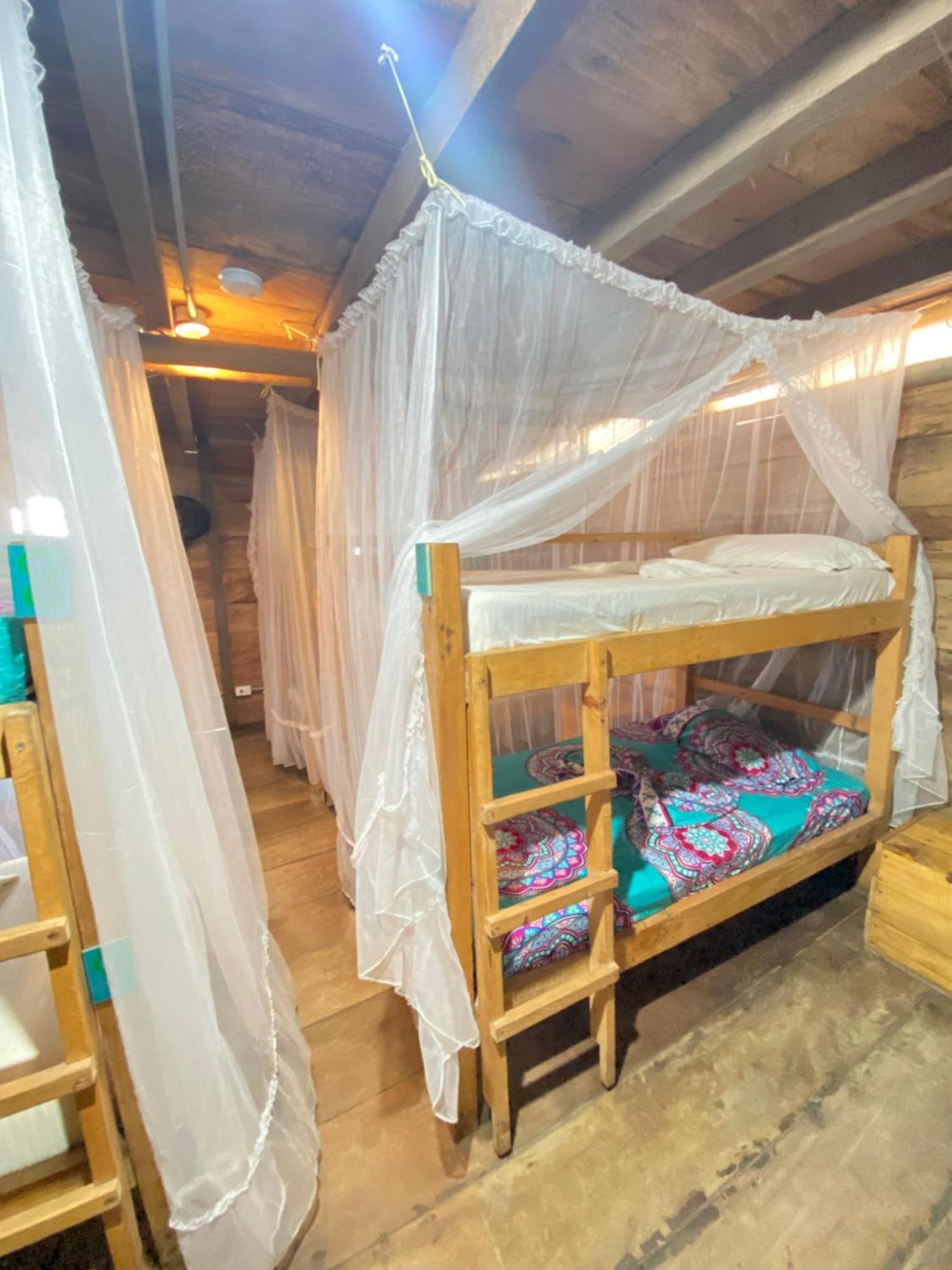 Palmario Hostal Guachaca Exterior photo